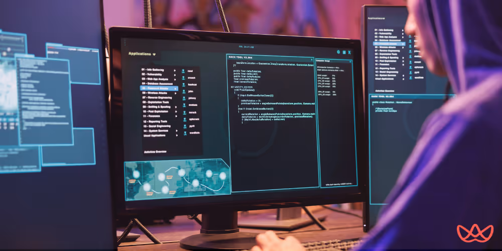 Software development